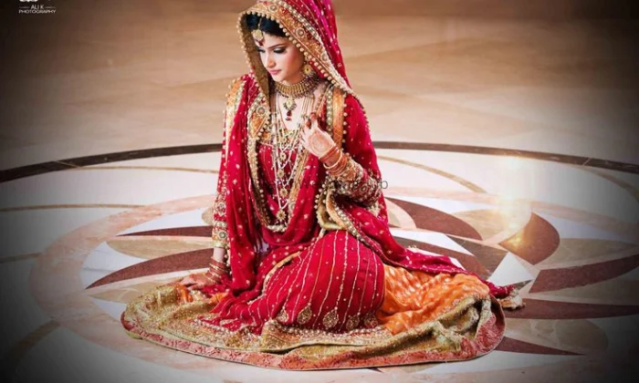 Kanchi Designers Silks